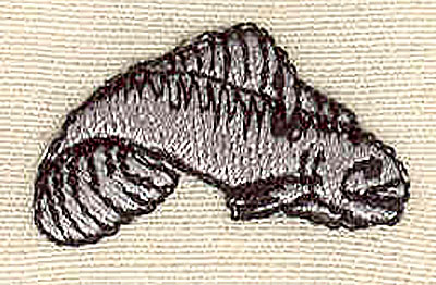 Embroidery Design: Moray eel 1.10w X 0.65h