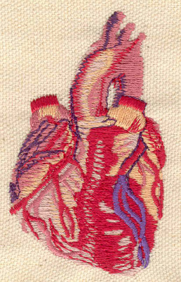 Embroidery Design: Heart anatomy 1.80w X 3.00h