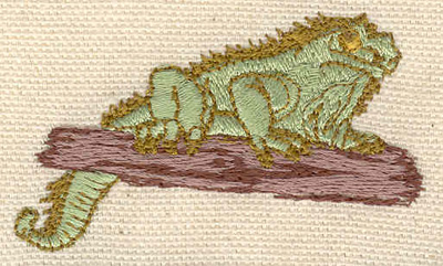 Embroidery Design: Iguana2.38w X 1.50h