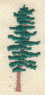 Embroidery Design: Pine tree  0.53w X 1.43h