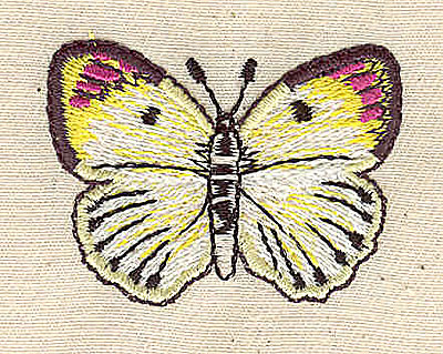 Embroidery Design: Butterfly 1.78w X 1.32h