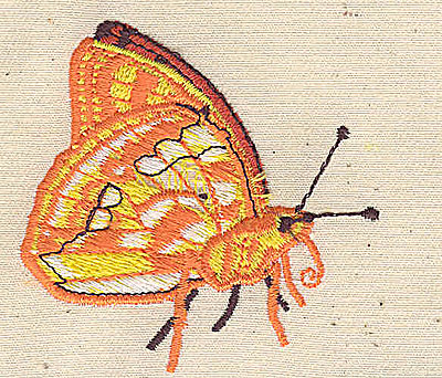 Embroidery Design: Butterfly 2.37w X 2.35h