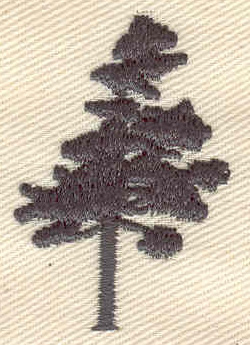Embroidery Design: Pine tree  1.02w X 1.63h