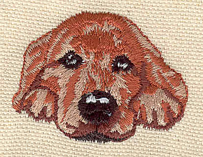 Embroidery Design: Labrador 1.79w X 1.35h