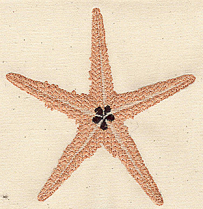Embroidery Design: Starfish 4.09w X 4.28h