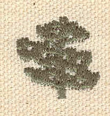 Embroidery Design: Evergreen M 0.78w X 0.74h