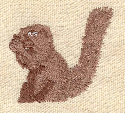 Embroidery Design: Squirrel 1.78w X 1.98h