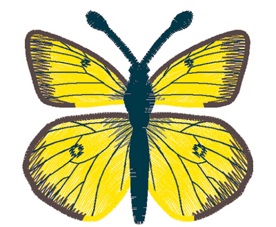 Embroidery Design: Butterfly Clouded Sulphur large4.67w X 2.53h