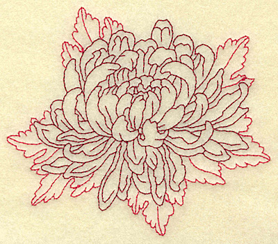 Embroidery Design: Chrysanthemum redwork  4.84w X 4.07h