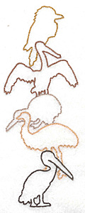 Embroidery Design: Birds of Australia large 2.58w X 6.98h
