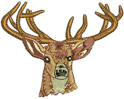 Embroidery Design: Realistic Buck Headshot 3.02w X 2.38h