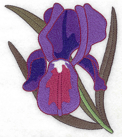 Embroidery Design: Iris large 4.26w X 4.99h