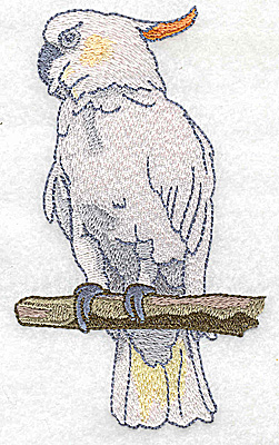 Embroidery Design: Bird D large parrot 2.93w X 4.97h