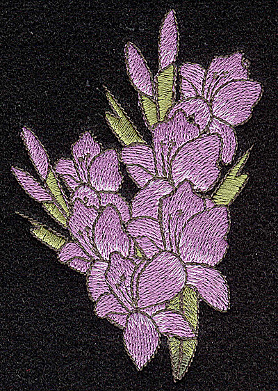 Embroidery Design: Iris 2.69w X 4.01h