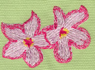 Embroidery Design: Two Heavenly Hibiscus 22.56" x 1.88"