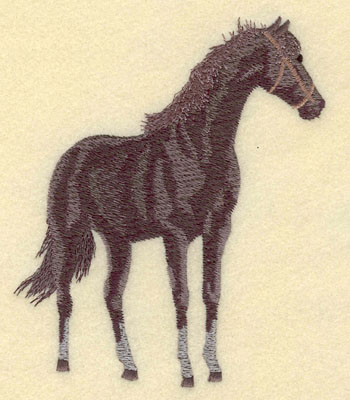 Embroidery Design: Horse Standing Large4.52w X 5.39h