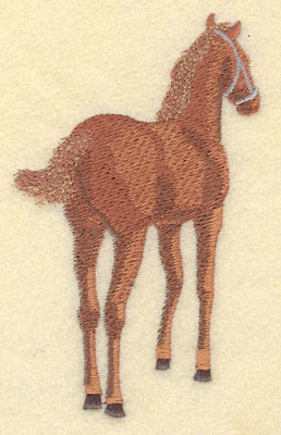 Embroidery Design: Colt Large3.5w X 5.02h