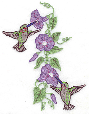 Embroidery Design: Hummingbirds at morning glory 5.00w X 6.36h