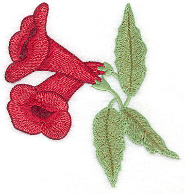 Embroidery Design: Trumpet flower duo large 4.78w X 4.99h