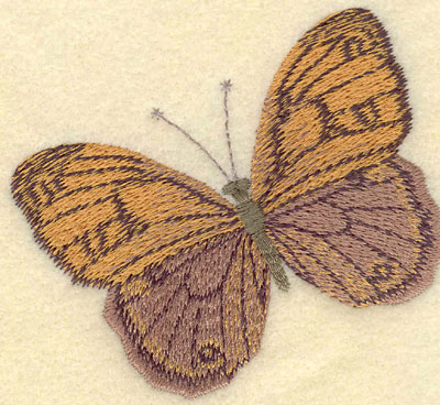 Embroidery Design: Butterfly Large3.52w X 3.20h