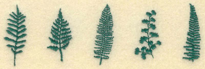 Embroidery Design: Small Row of Ferns5.24w X 1.70h
