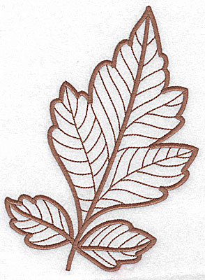 Embroidery Design: Leaf 7 large 5.21w X 7.07h