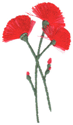 Embroidery Design: Pink Carnations1.85" x 3.19"