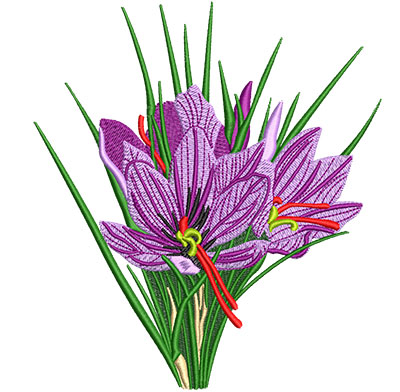 Embroidery Design: Saffron Crocus Flower Lg 5.38w X 6.01h