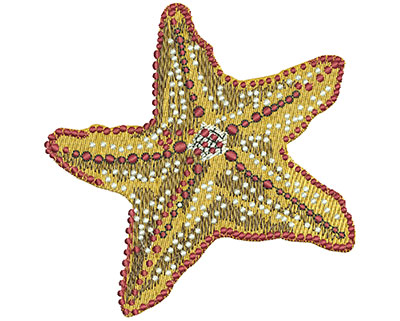Embroidery Design: Starfish Lg 3.92w X 3.98h