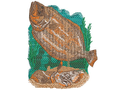 Embroidery Design: Flounder Lg 4.27w X 4.99h