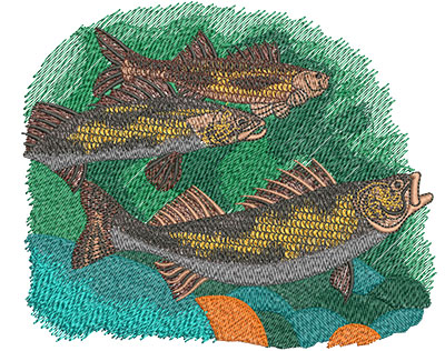 Embroidery Design: Saugers Swimming Lg 5.99w X 5.03h