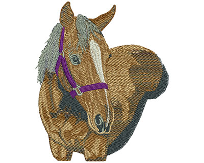 Embroidery Design: Horse Lg 4.95w X 5.95h