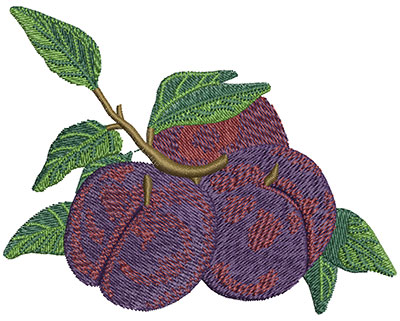 Embroidery Design: Batch of Plums Lg 4.02w X 3.15h