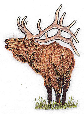 Embroidery Design: Caribou 2.93w X 4.13h