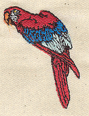 Embroidery Design: Parrot 1.31w X 2.88h
