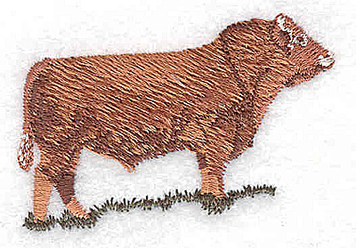 Embroidery Design: Steer1.50W x 2.94H