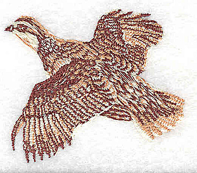 Embroidery Design: Partridge 2.31w X 1.94h