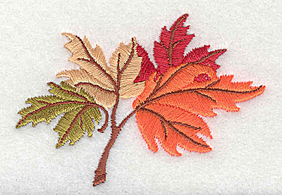 Embroidery Design: Maple Leaves   3.25w X 2.31h