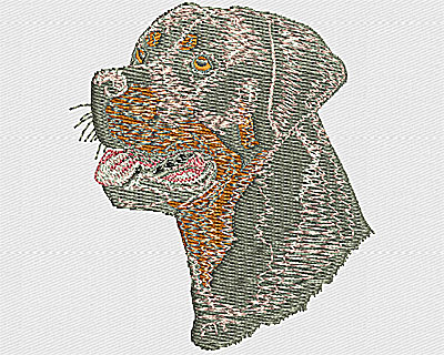 Embroidery Design: Rottweiler headshot 2.56w X 2.94h