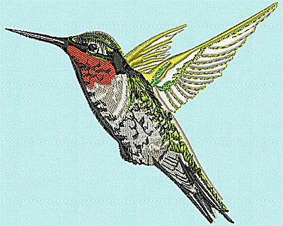 Embroidery Design: Realistic Hummingbird 4.56w X 3.75h