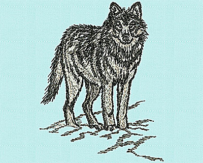 Embroidery Design: Realistic Wolf 3.50w X 4.50h