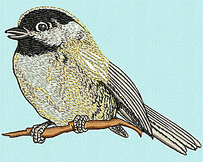 Embroidery Design: Realistic Bird 4.13w X 3.06h