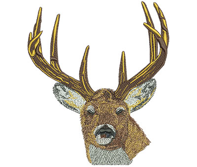 Embroidery Design: Deer Head Stare Lg 5.20w X 6.01h