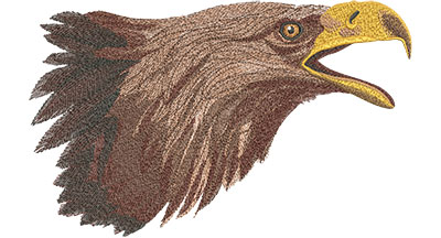 Embroidery Design: Eagle Head Lg 12.02w X 7.42h