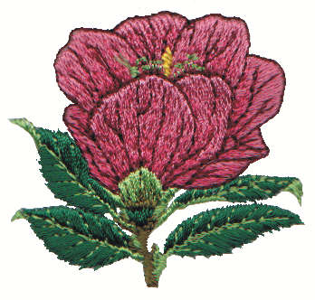 Embroidery Design: Magnolia2.19" x 2.07"