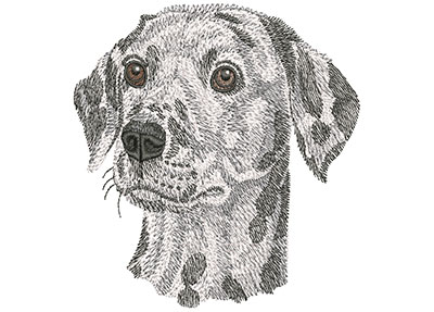 Embroidery Design: Dalmatian Face Lg 4.45w X 4.42h