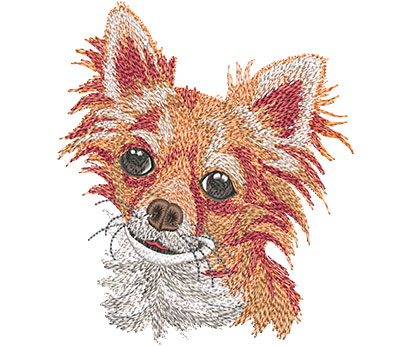 Embroidery Design: Long Haired Chihuahua Lg 4.45w X 5.17h