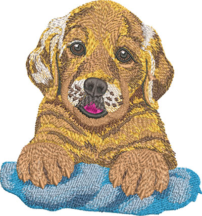 Embroidery Design: Golden Retriever Puppy Lg 5.58w X 5.95h