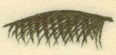 Embroidery Design: Palm Frond1.01w X 2.91h
