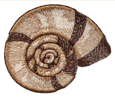 Embroidery Design: Seashell 62.82" x 2.36"
